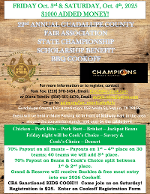 Flier